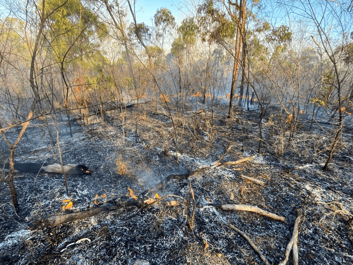 A photograph of a burnt patch of bush with some patches of fire still visible and lots of ash and burnt materials.