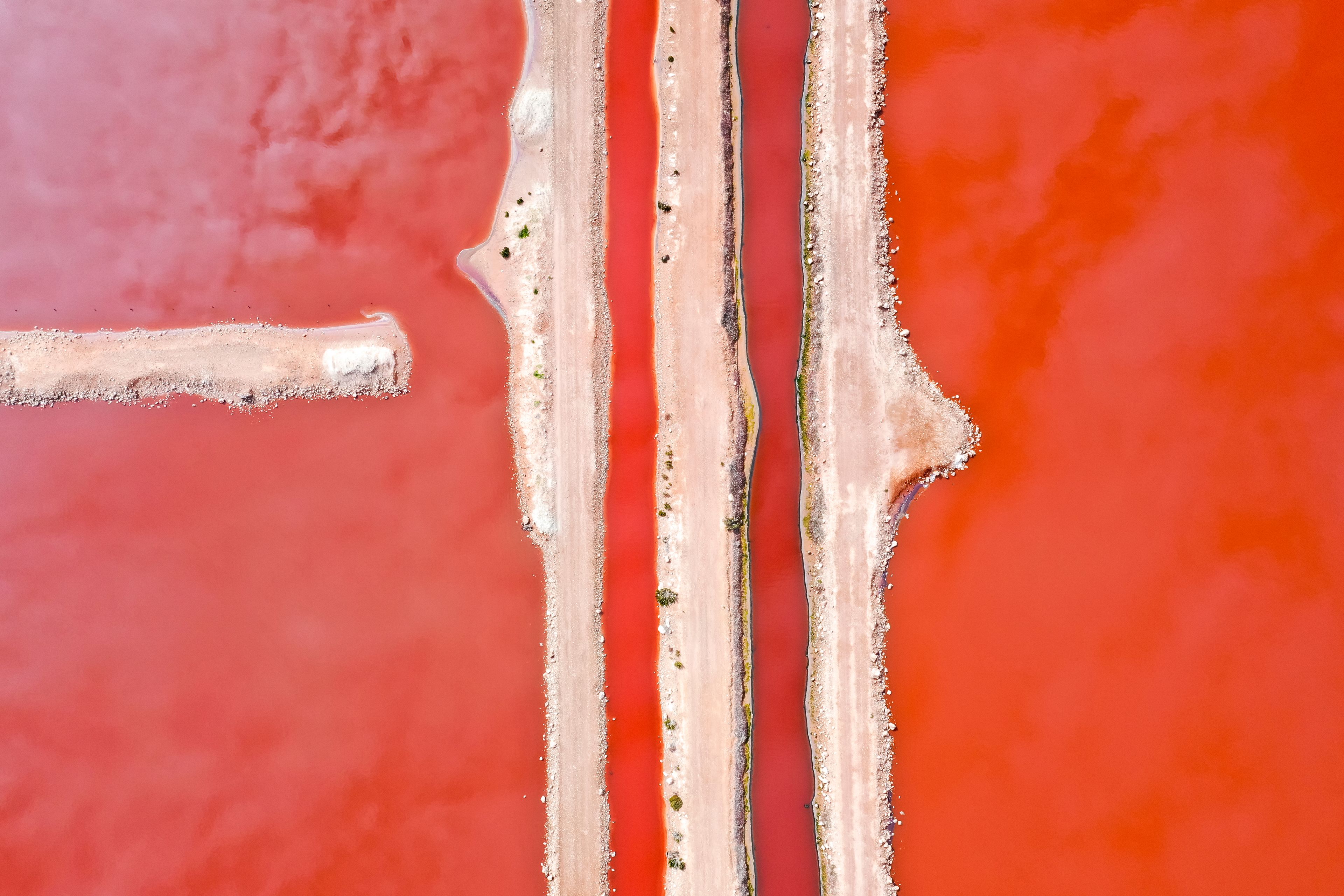 Colourful lake at Hutt lagoon, Port Gregory. Photographer: Robbie Goodall. Source: Getty Images. Used under licence. 3 dirt tracks against firey read lake at Hutt lagoon, port gregory