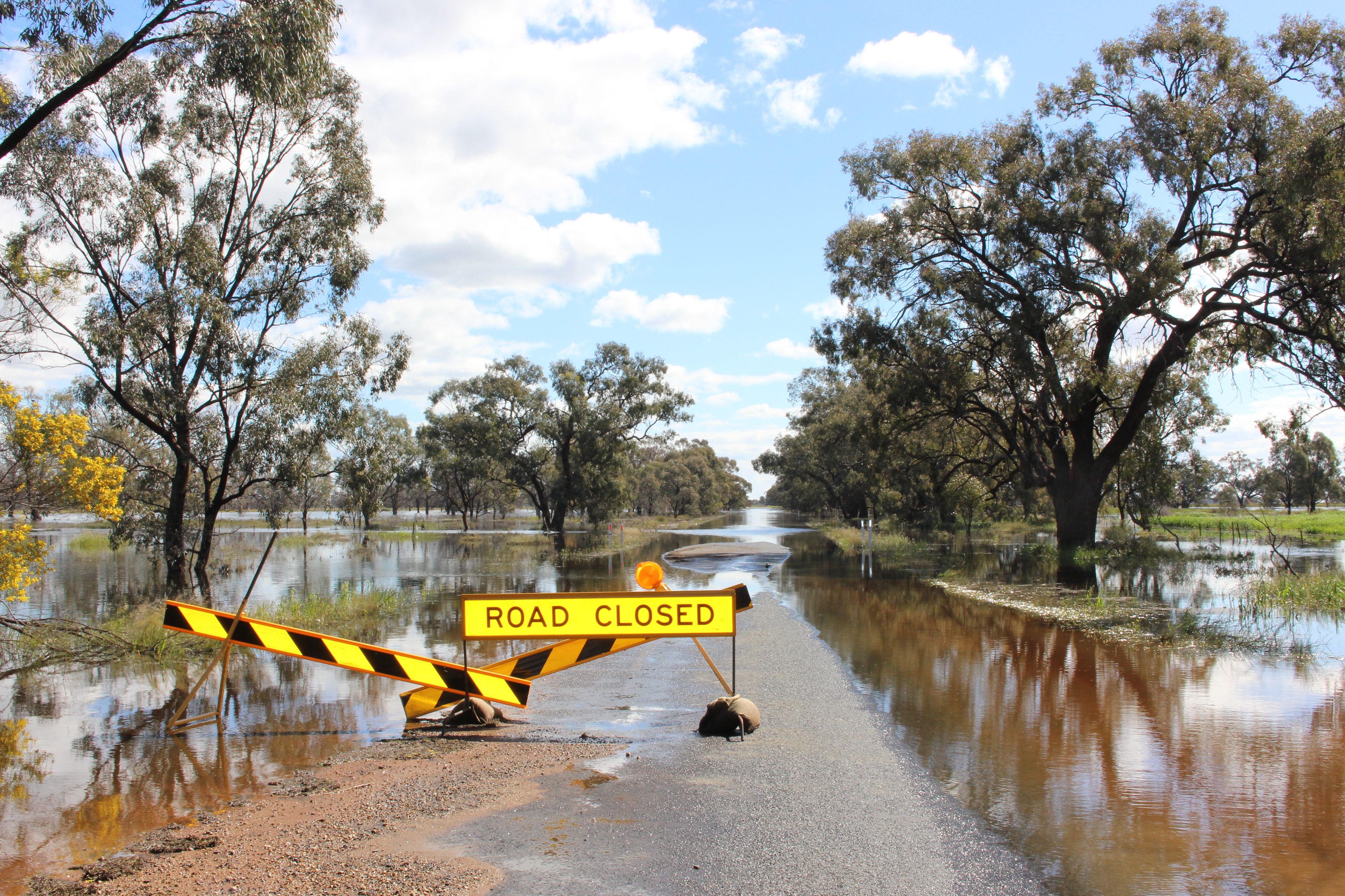 Road Flooded at Condobolin, New South Wales. Photographer: Theo Clark. Source: Getty Images. Used under Licence. Road Flooded at Condobolin, New South Wales. Photographer: Theo Clark. Source: Getty Images. Used under Licence.