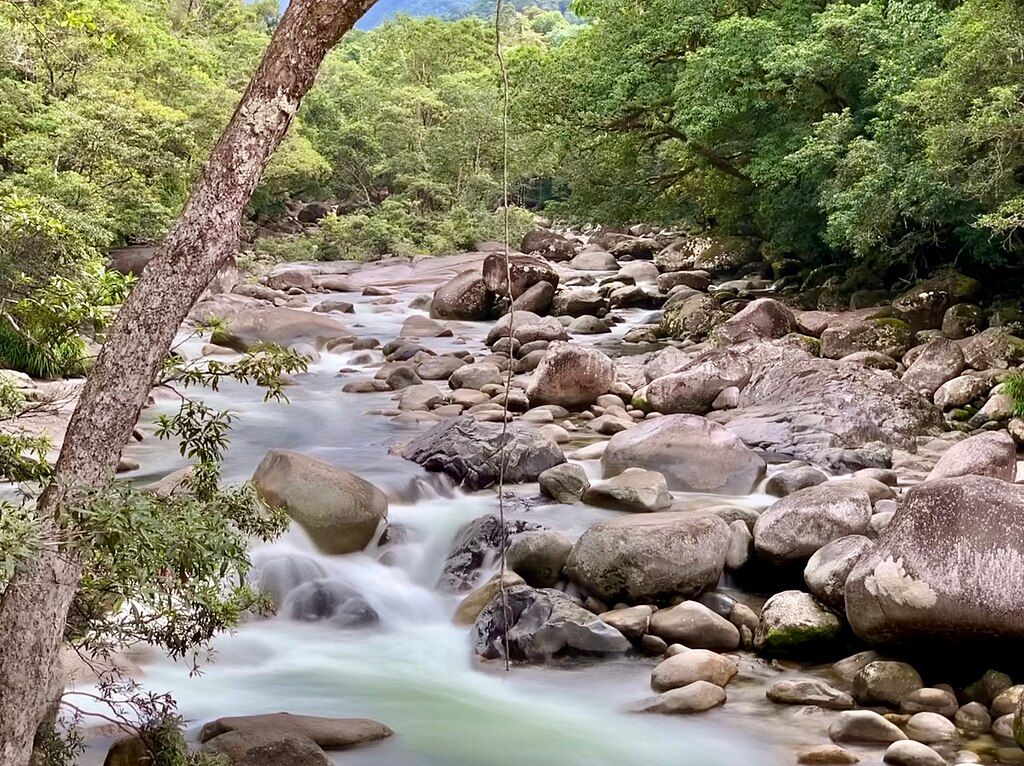 Mossman Gorge, Queensland. Photographer: Chris Olszewski. Source: Wikimedia Commons. Used under licence: CC BY-SA 4.0.