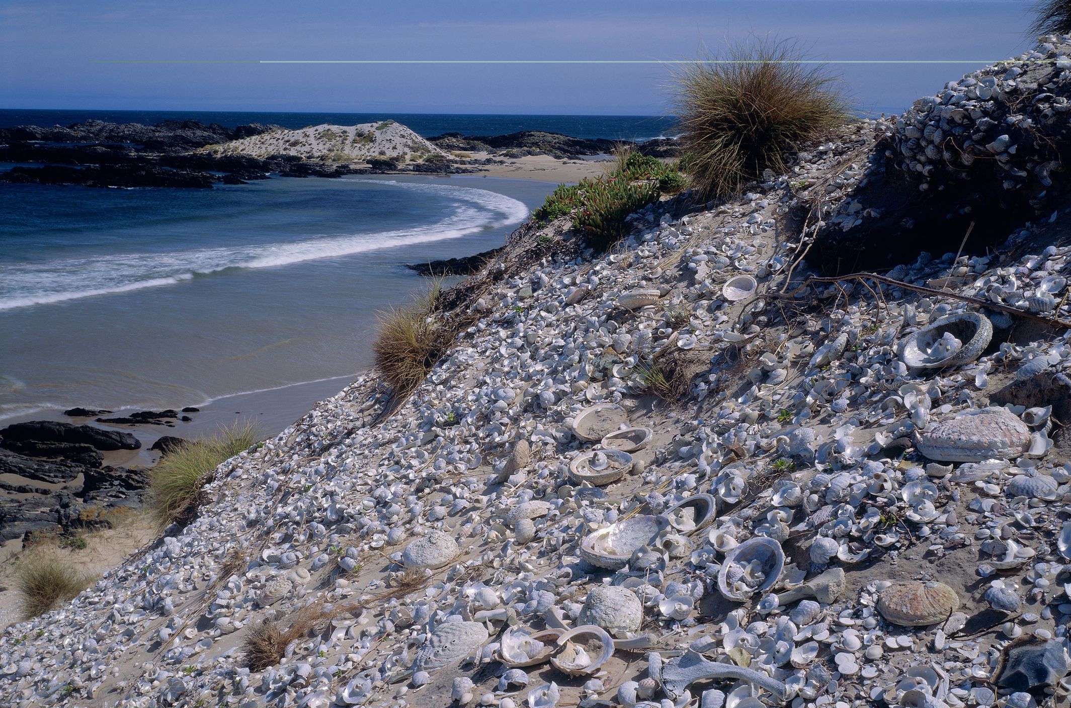 Aboriginal shell middens. Location: Ordinance point, Tarkine Wilderness, Tasmania. Photographer: Ted Mead Source: Getty Images. Used under licence.