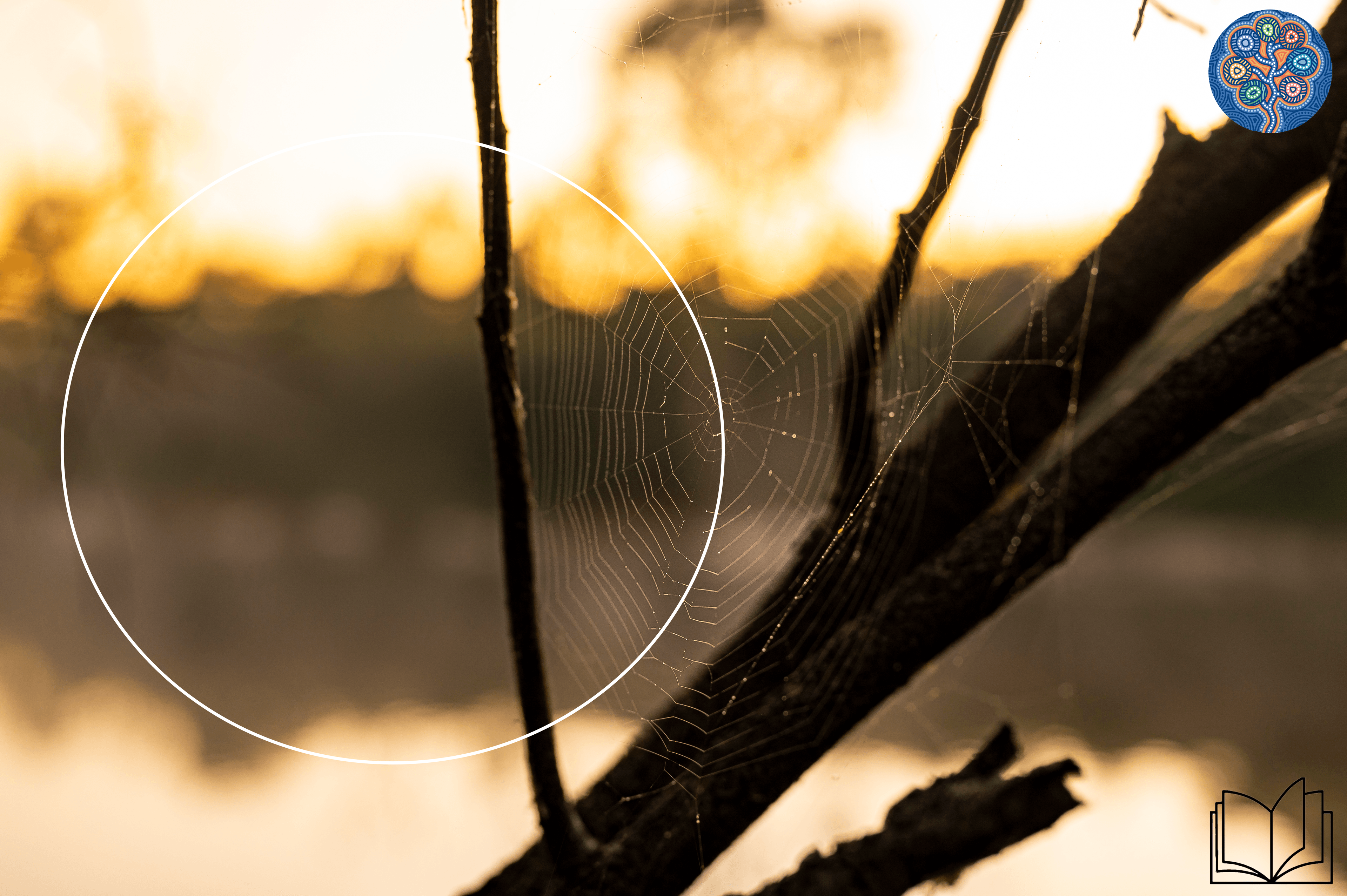 CoP Image without text Spiderweb on a tree, dam in the background. White circle and the logo of Ngarrngga and #edureading in the righthand corners.