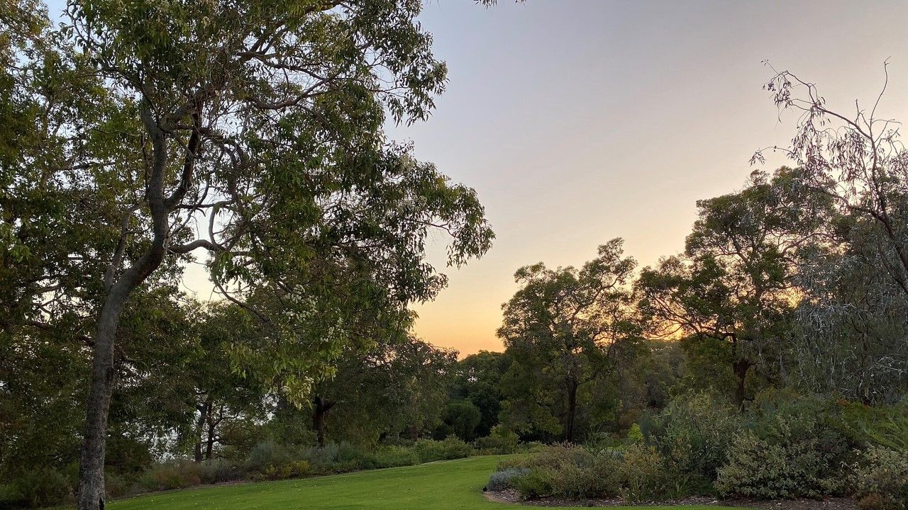 Kaarta Koomba (King’s Park). Location: Perth, Western Australia. Photographer: wuppertaler. Source: Wikimedia Commons. Used under licence: CC BY 4.0.