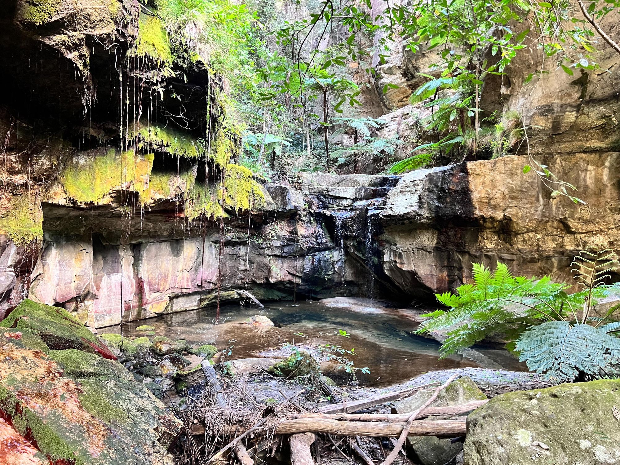 Moss Garden in Carnarvon National Park, Queensland. Location: Southern Brigalow Belt bioregion in the Maranoa Region in Central Queensland. Photographer: Rafael Ben-Ari. Source: Getty Images. Used under licence.