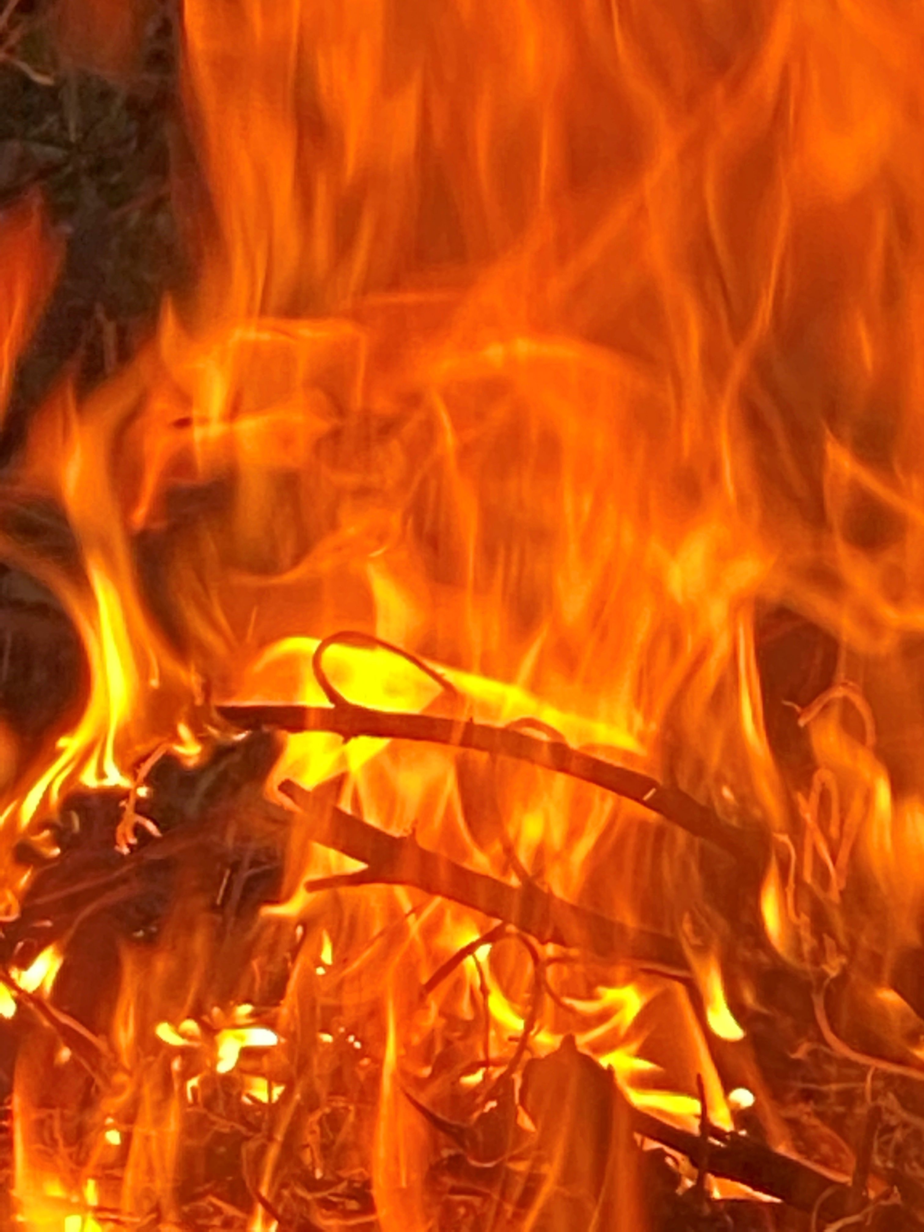 Joes Image F4 Fire up close