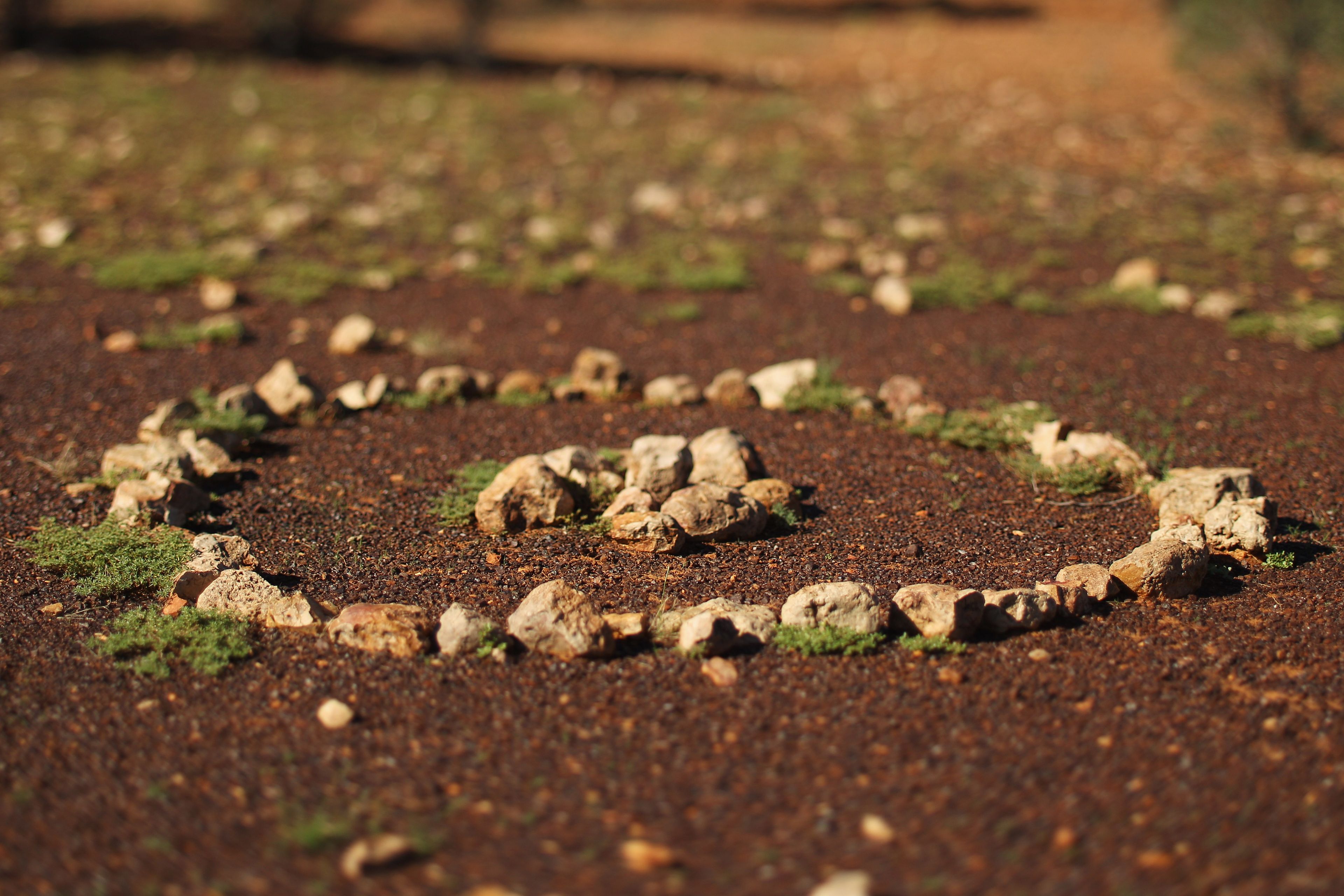 An Aboriginal bora ring. Location: Carisbrooke Station, Winton, Queensland. Photographer: Mark Kolbe. Source: Getty Images. Used under licence.