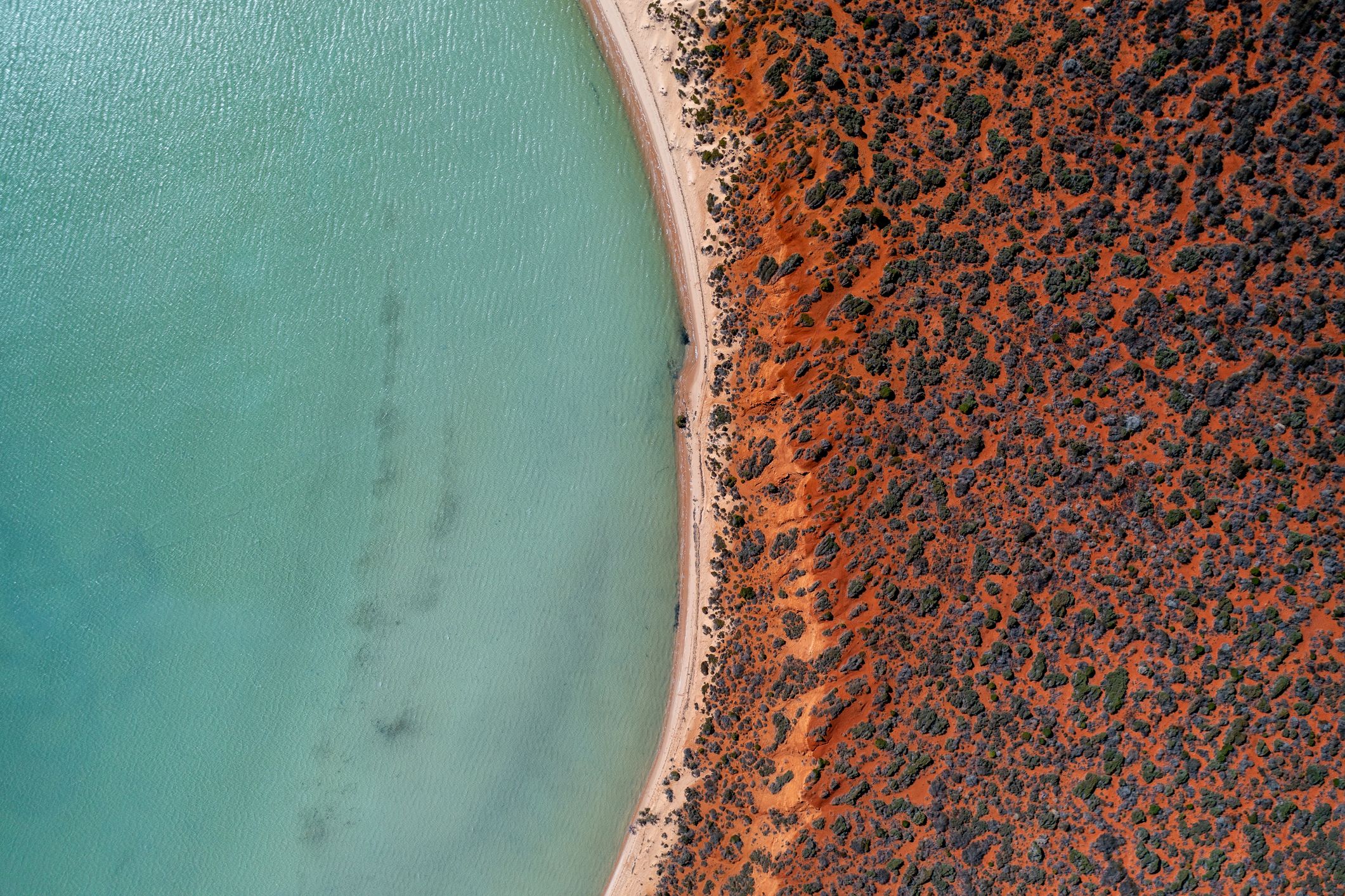 Drone looking down on the edge of the Australian Outback and the Indian Ocean. Shark Bay, Western Australia. Photographer: Abstract Aerial Art. Source: Getty Images. Used under licence. Drone looking down on the edge of the Australian Outback and the Indian Ocean. Shark Bay, Western Australia