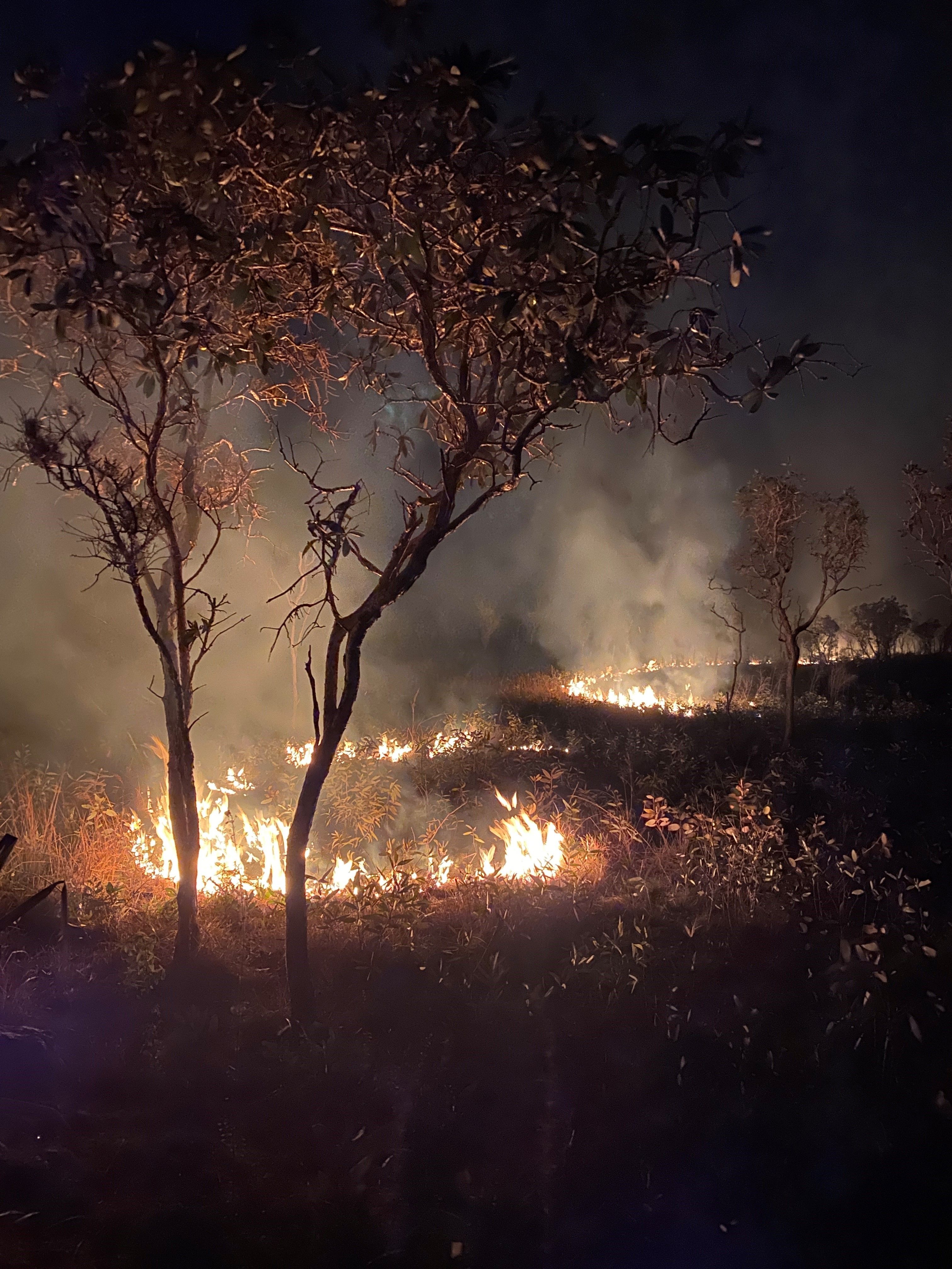 Fire Trails