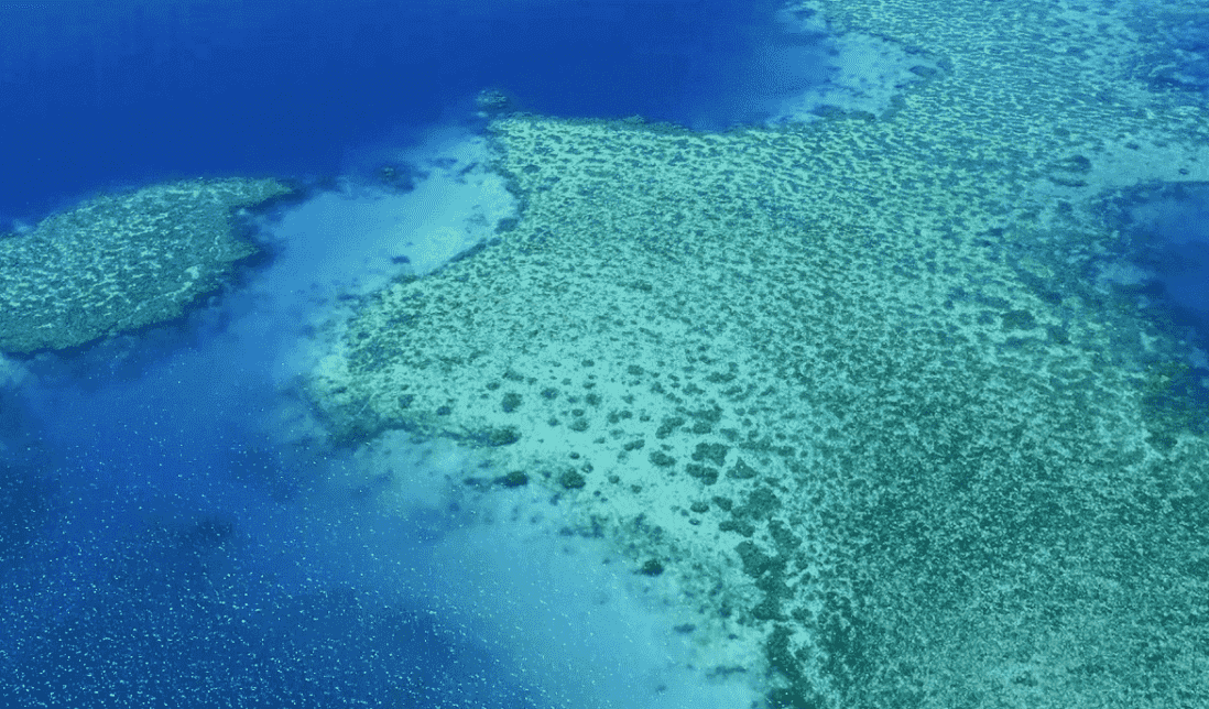 Banner ocean Coral reef seen from the air