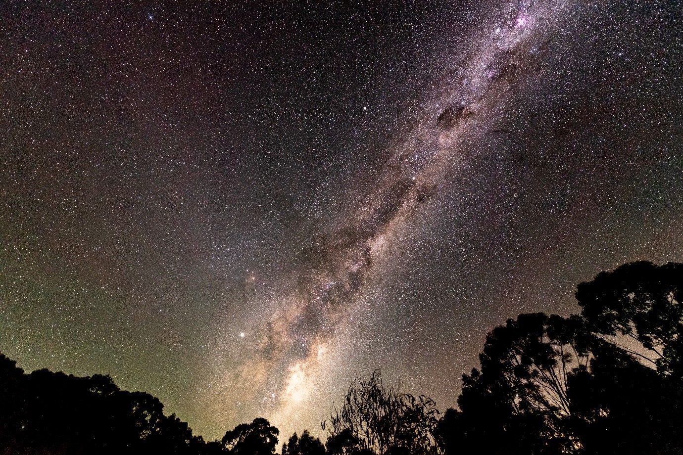 The Emu and the Zodiac - Peter L Milky way at night