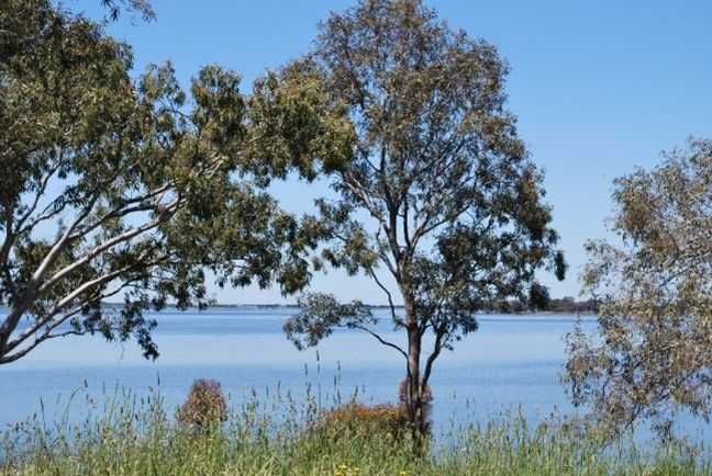 Fig 1: Lake Bolac 2010; Mattinbgn; File:Lake Bolac 2010.JPG - Wikimedia Commons; CC BY-SA 3.0