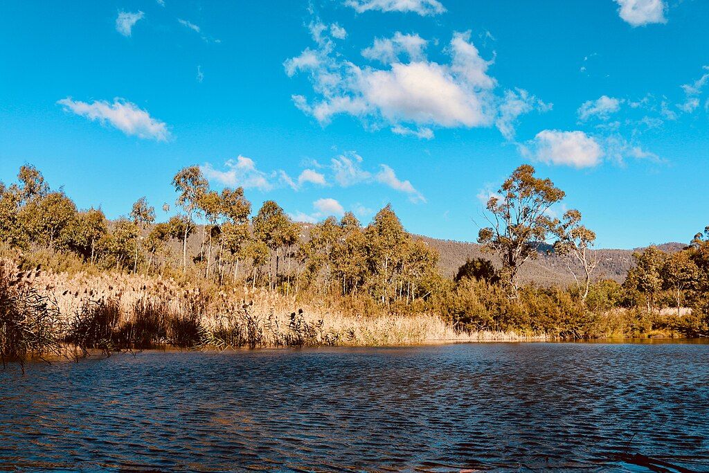 Tidbinbilla Nature Reserve. Location: Australian Capital Territory (ACT). Photographer: Natalie Maguire. Source: Wikimedia Commons. Used under licence: CC BY 2.0.