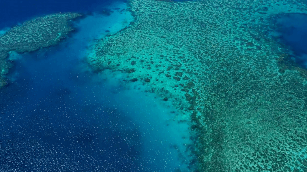 Banner Ocean Thumbnail