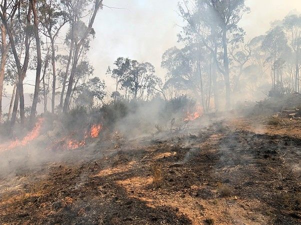 Fig. 1. BLM-Idaho's Clay Stephens Assists with Australian Bushfires. BLM-Idaho. Source: https://commons.wikimedia.org/wiki/File:BLM-Idaho%27s_Clay_Stephens_Assists_with_Australian_Bushfires_(49450616003).jpg. Attribution 2.0 Generic (CC BY 2.0).
